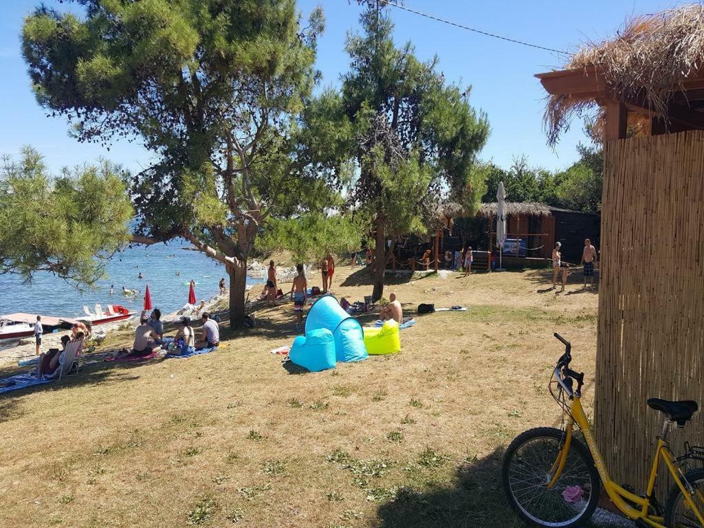 Studio Apartment Palmira Ližnjan Εξωτερικό φωτογραφία