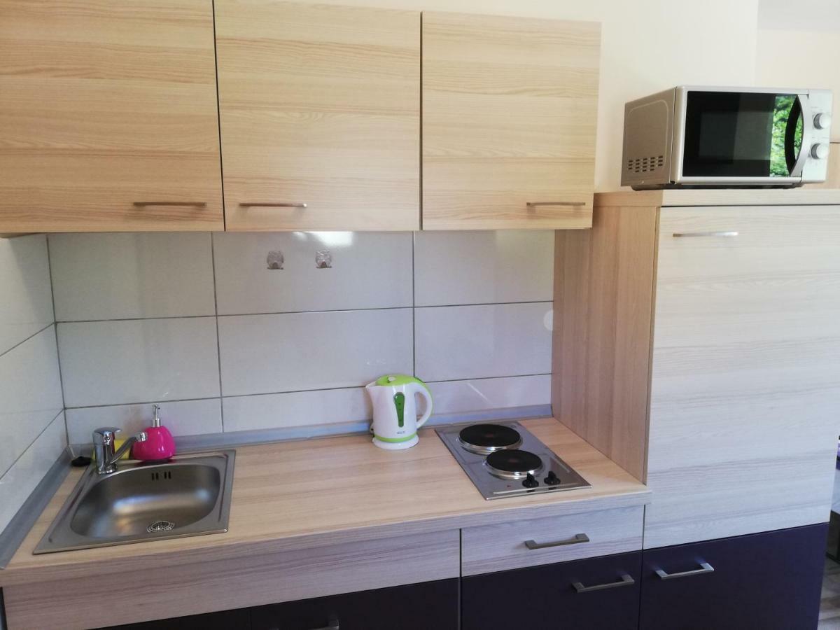 Studio Apartment Palmira Ližnjan Εξωτερικό φωτογραφία